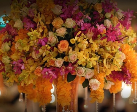 Vgcraft International