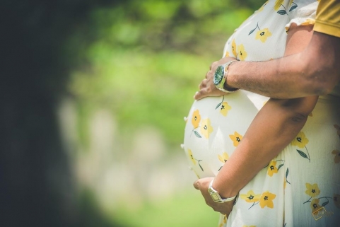 Golden Rectangle Photography10