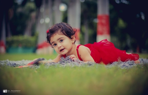 Sree Photography	