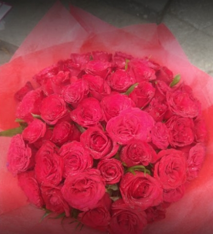 Secret Garden Florist Shimla