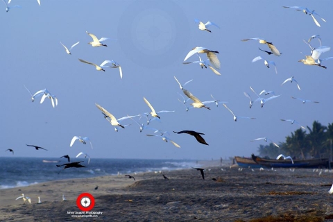 St George Digi Studio	