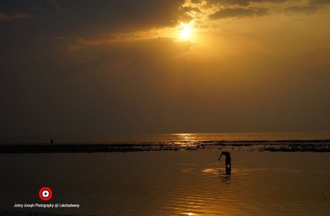 St George Digi Studio	