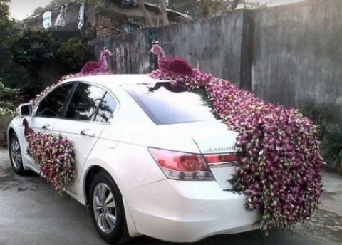 Ayras Ferns N Flowers And Aqua