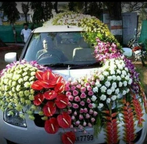 Ayras Ferns N Flowers And Aqua