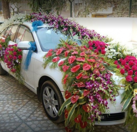 Ayras Ferns N Flowers And Aqua