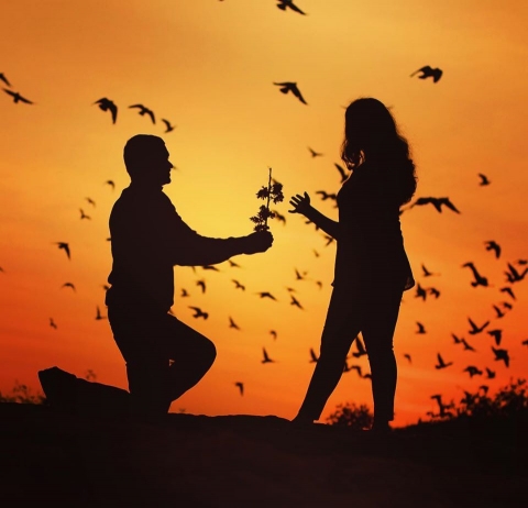 LetsClick Photography	9