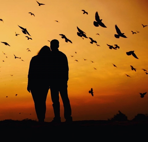 LetsClick Photography	10