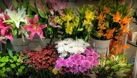 Daya Shama Shanti Flower Mart
