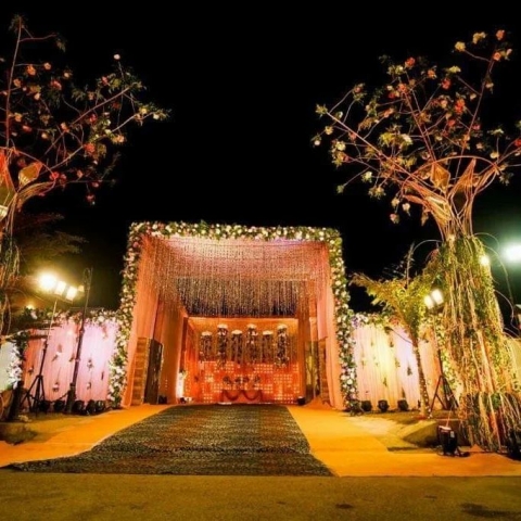 Golden Apple Entertainment