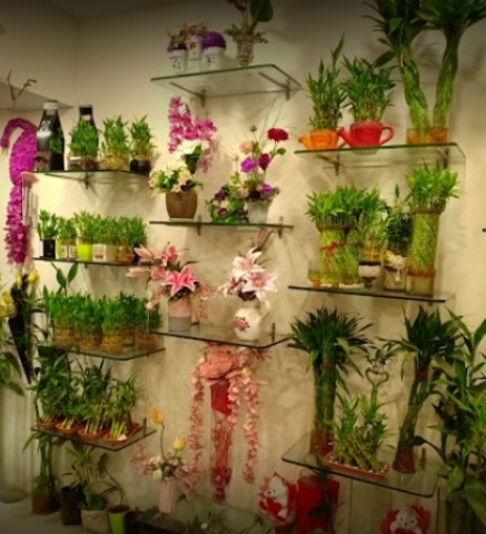 A K Florist Bhopal