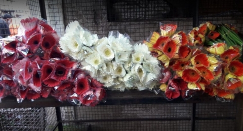 Narayan Phool Bhandar