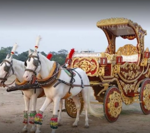 Maharaja Band Company