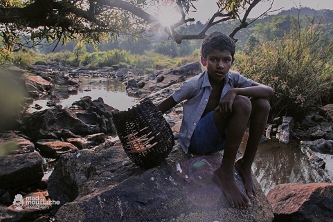 Mad Moustache Photography	