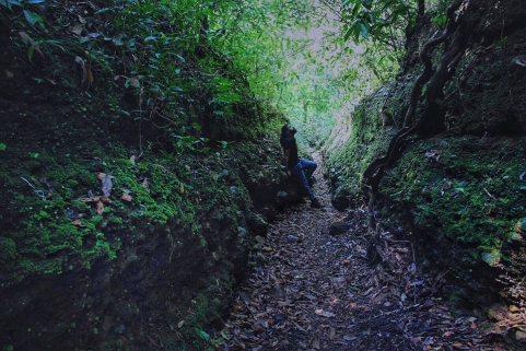 Mad Moustache Photography	