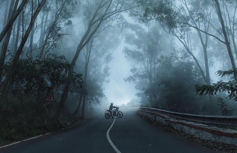 Mad Moustache Photography	