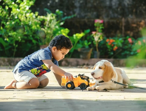 Shivraj KS Photography	