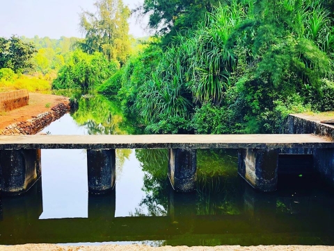 Clickpickz Photography	