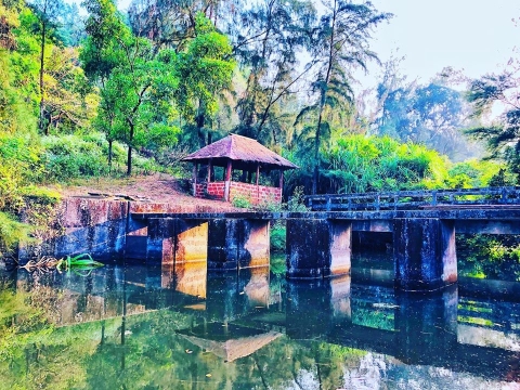 Clickpickz Photography	