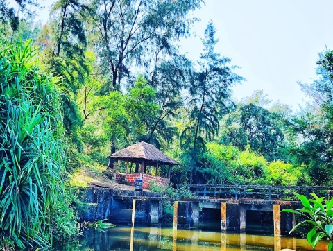 Clickpickz Photography	