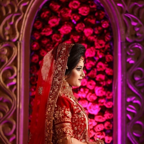 Bona Photography Ltd	