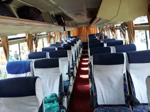 Progressive Tours and Travels