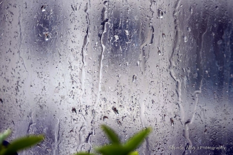 add directly in Panel