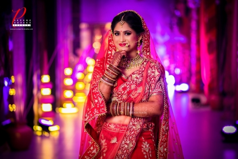 Picture Perfect Studioz