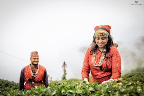 Gaurab Mitra Photography