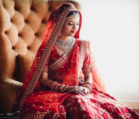 Canvas Chaos Photography