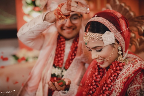 Canvas Chaos Photography