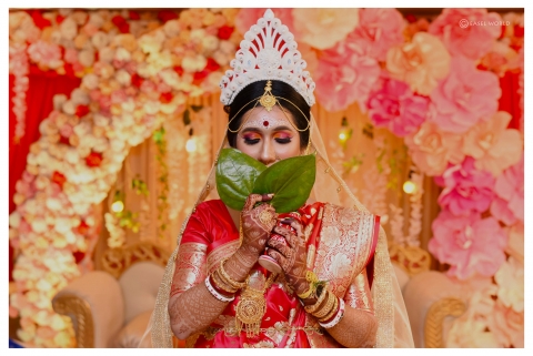 Easel World Photography