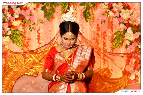 Easel World Photography