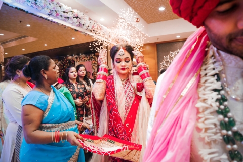 Black Beetles Photography