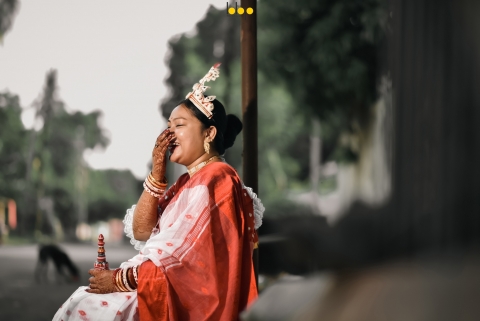 Black Beetles Photography