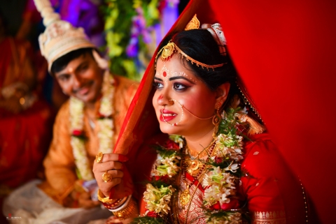 Black Beetles Photography