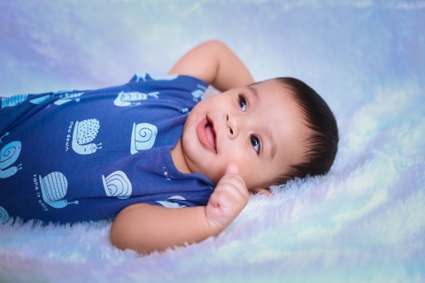 Black Beetles Photography