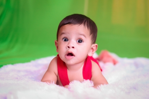 Black Beetles Photography