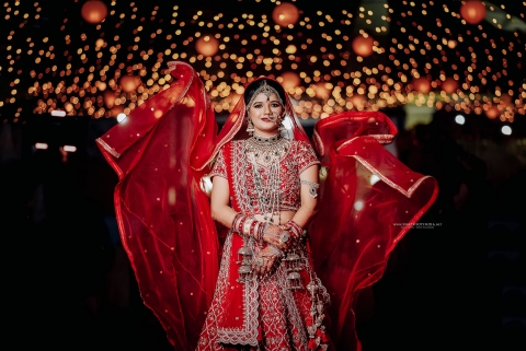 SNAPSHOT - Photography & Films