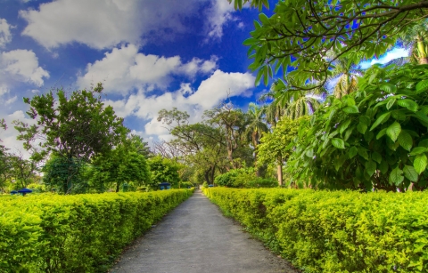 Biswajit Saha PhotographyBiswa
