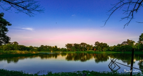 Biswajit Saha Photography