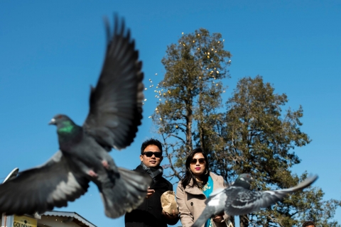 Sutirtha Basu Photography