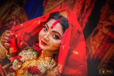 Dream Photographer Association