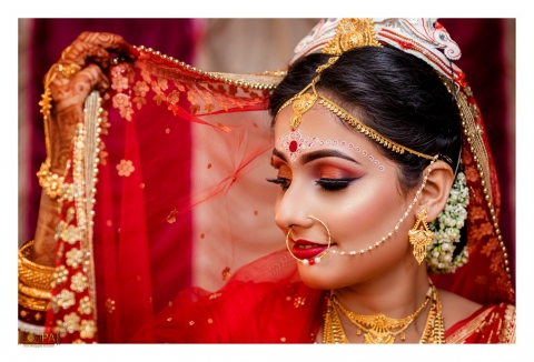 Dream Photographer Association