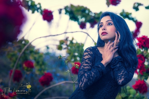 The Lumiere Photography