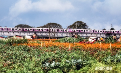 Abhishek Photography