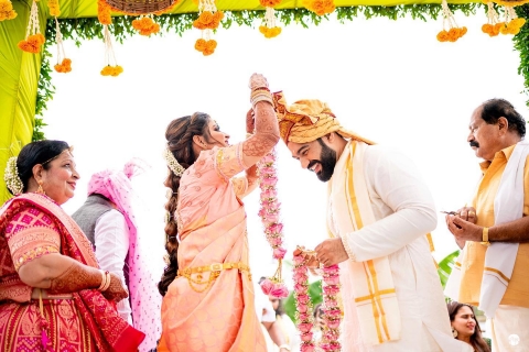 Chitra's Photography