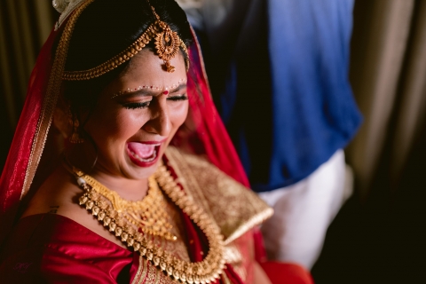 Maroon Velvet Stories