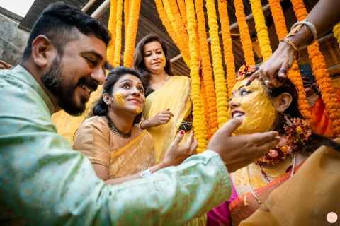 The Wedding Chronicles