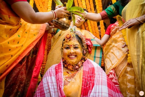 The Wedding Chronicles