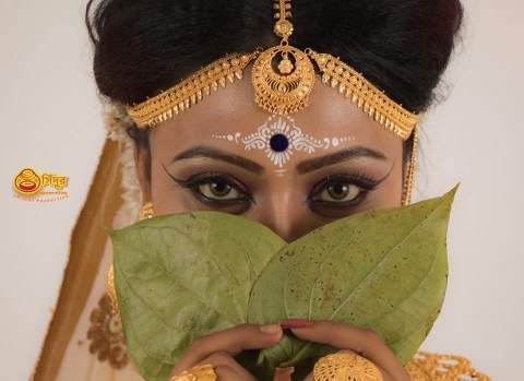 SB Lens Official Photography